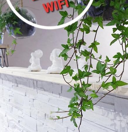 Studio Zen Et Cosy, Neuf En Pleine Ville Saint-Claude Exterior photo