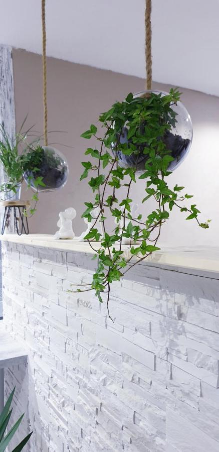 Studio Zen Et Cosy, Neuf En Pleine Ville Saint-Claude Exterior photo